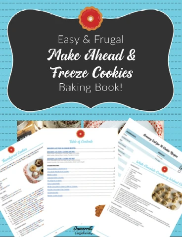 make ahead and freeze cookies book
